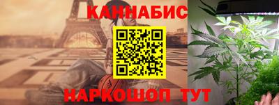 ALPHA PVP Камышлов