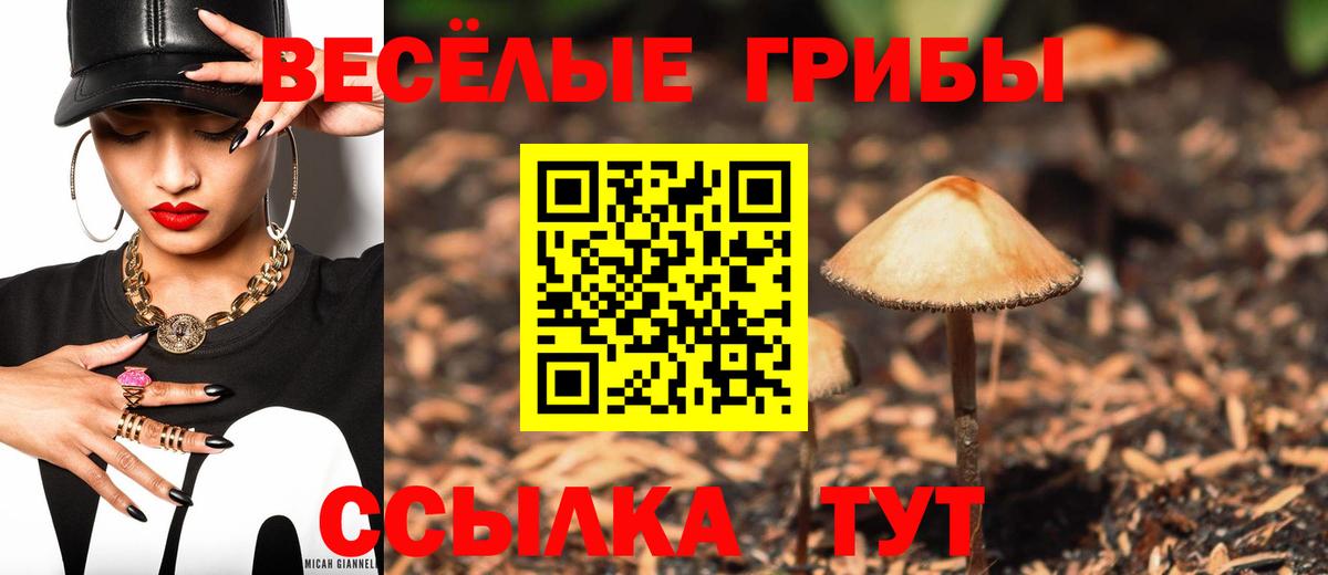 Кыштым  Галлюциногенные грибы Cubensis  Вход с VPN  Галлюциногенные грибы MAGIC MUSHROOMS 